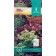 Seeds salad mixture of salads, 1 g