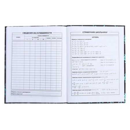 Universal Diary Grade 1-11, 48 sheets "Monster Call", integral cover, matte lamination, selective UV-fluid, congructor-8