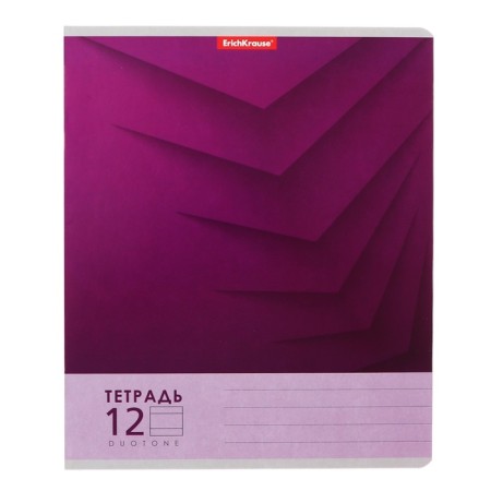 Notebook of 12 sheets in the Erichkrause "Duotone Next", the cover coated cardboard, an offset block 100% whiteness, mix-7