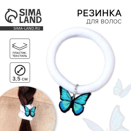 Hair gum "Butterfly", D = 4 cm