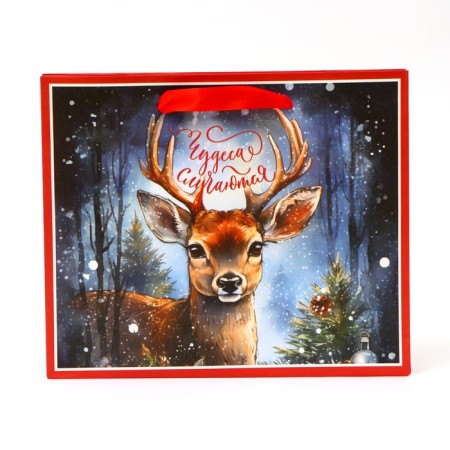New Year. New Year's Paper Gift package, "miracles happen", 24 x 20 x 11 cm.-1