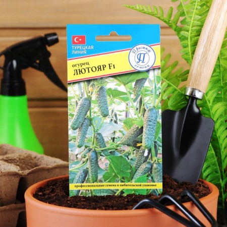 Cucumber seeds "Lyutoyar" F1, 5 pcs-2