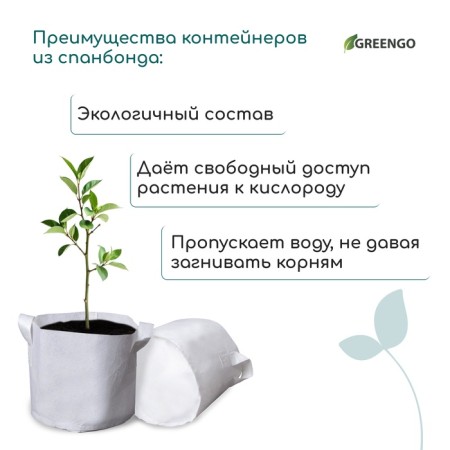 Container with handles, 22 × 20 cm, density 130 g/m², Greengo-7
