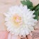 Artificial flowers "Chrysanthemum Garden Galant" 14x57 cm, white