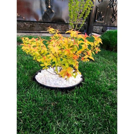 Garden plastic curb, 55 mm, green, 10 m + 30 stakes, "mango"-5