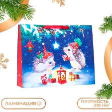 Gift package 