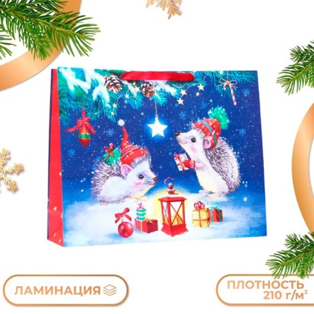 Gift package "Hedgehogs", 50 x 40 x 15 cm