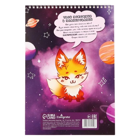 Planing Leduced A4, 12 sheets, on the crest, soft cover, "Planning of the Space School"-16