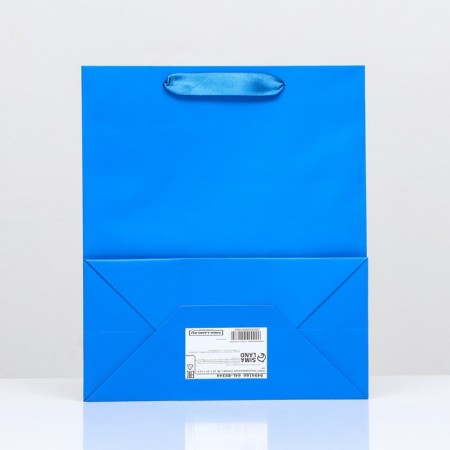Laminated packet "Blue", 23 x 27 x 11.5 cm-1