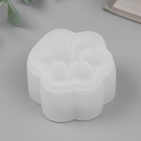 Mold Silicon "Casket - Paw" 6.5x6.1x2.8 cm-3
