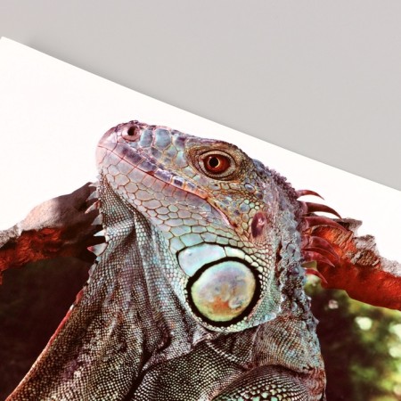 Stick 3D Interior Varan 70*50cm-2