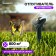 Birds of birds and other animals Luazon LRI-32, from the solar battery, green