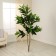 Artificial tree "Dracaena bent" 150 cm