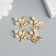 Decor for creativity Metal "Victor with pearls" gold 2.1x2.1x0.6 cm