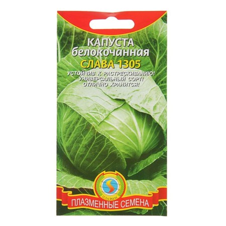 Cabbage Cabbage seeds "Glory 1305", 0.5 g