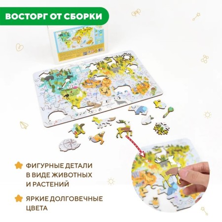 Designer - Puzzle "Map of the World"-3