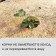 Coconut canvas for mulching, 10 × 1 m, "Mulchagram"