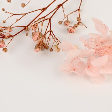 Set of dried flowers "Pink Cloud"-2
