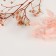Set of dried flowers "Pink Cloud"