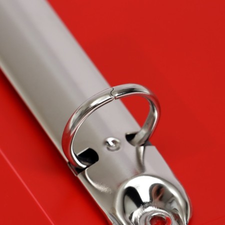 A4 Portfolio folder, calligrata "gymnasium", plastic, on 4 rings, for a student, without liners-4