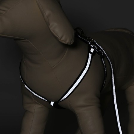 The reflective “bones” set, a collar of 120 x 1 cm, Osh 22-34 cm, fire 22-34 cm, black-1