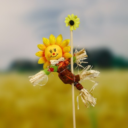 The garden scarecrow "Sun", h = 50 cm, mix, Greengo