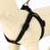 Set "Basis", leash 120 x 1.5 cm, OG 32-46 cm, black