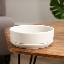Pot of the Bonsian 