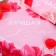 Set "Best Mistroeka Kitchen apron 50cm x 70cm and baking forms