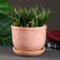 Flower pot "Lomonosovsky" pink 0.7 l
