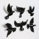 Wall deaf "Birds" 6 pieces 14 x 23.5 x 6 cm, black