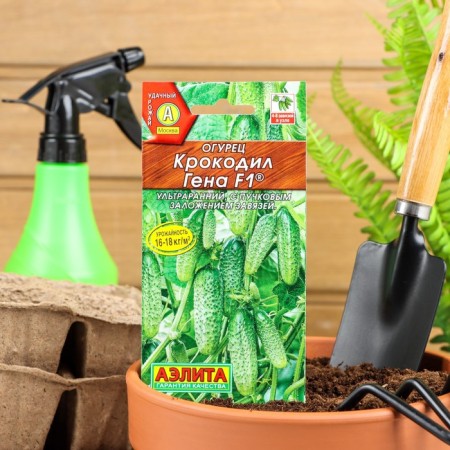 Cucumber seeds "Crocodile Gene" F1, ultraran, parthenocarpic, 10 pcs.
