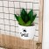 Panel wall with a shelf "Sukkulent in a pot" 34x24x7 cm