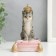 Souvenir Polystone "Cat-Emperor on the pillow" 10x6.5x7 cm