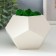 Concrete Kashpo "Pentagon" Height 8 cm white with moss (moss green stabilized)