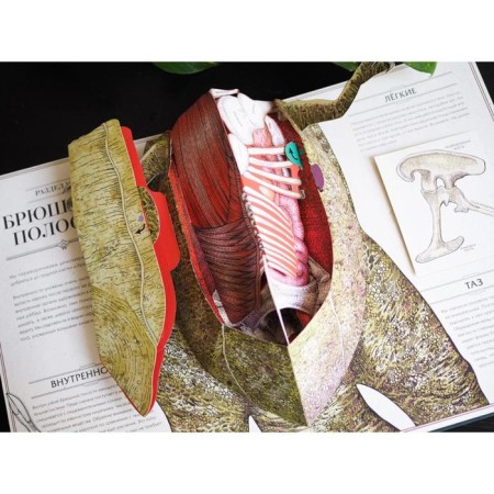 Tyrannosaurus Rex. Interactive paranorama book. Dixon D.-4
