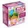 Set for growing grass "Cute Sadik", Princess