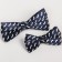 Set of tie-butter-tie "Mr." for boys, species mix