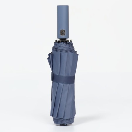 Autonomine automatic umbrella, 3 additions, 10 spokes, r = 51 cm, blue color-7