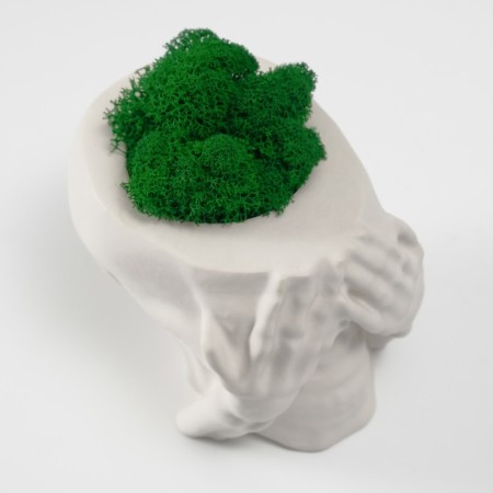 Kashpo Concrete "Seek Skull" with moss 7x10 cm white (moss green stabilized)-4