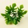 A branch of greens, size 1 pc. - 9 × 6 × 6 cm, set - 3 pcs.