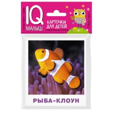 A set of cards for children 