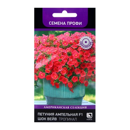 Flowers of Petunia Ampel F1 shock wave tropical, 5pcs
