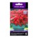 Flowers of Petunia Ampel F1 shock wave tropical, 5pcs