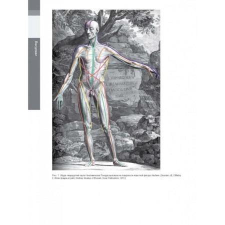 Anatomical trains. 3 edition. Mayers T.-4