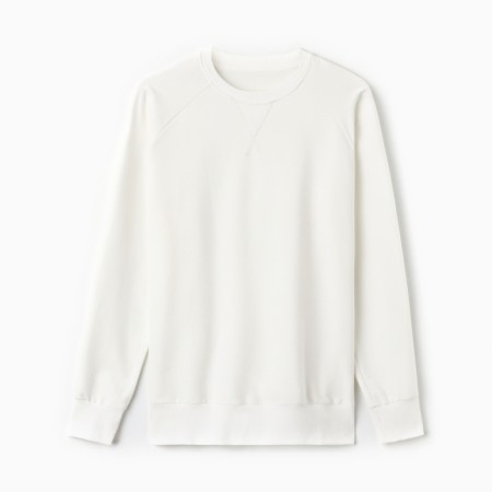 Men's sweatshirt Mist Men’s Collection, p. 48, milk-5