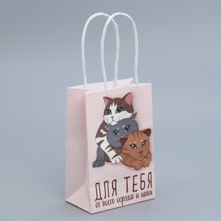 Gift Crafts, Packaging, “Gift for You”, 15 x 10 x 6 cm-2