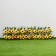 Decorative fence, 110 × 40 cm, “sunflowers”, Greengo