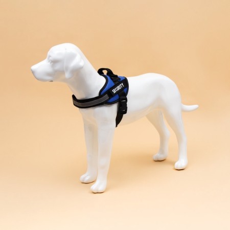 C9 sloping is soft reflective, size m, og 55-65 cm, weight 11-20 kg, blue-1