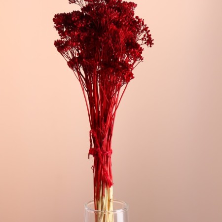 A set of dried flowers "yarrow", banch length 60 (+/- 6 cm), red-1